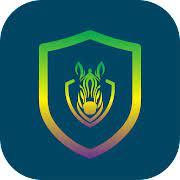 Zebra VPN APK icon